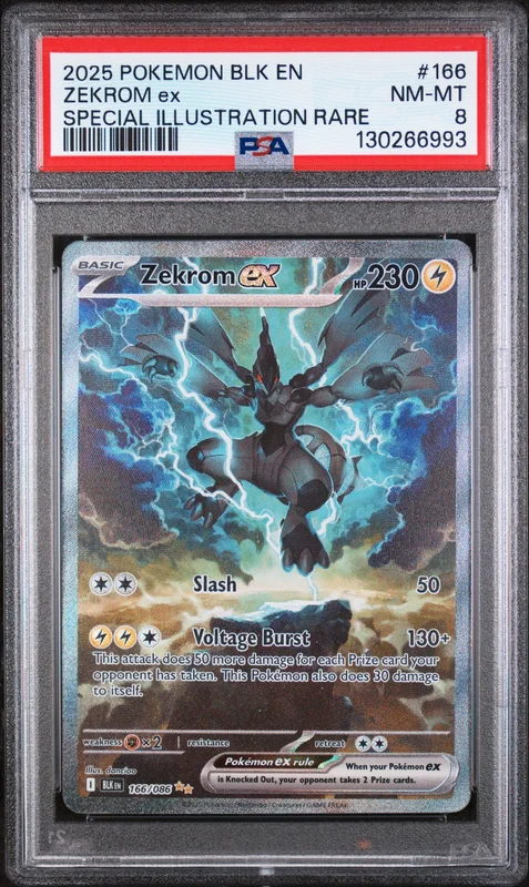 cardshq130454
