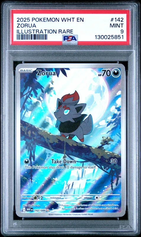 cardshq239524