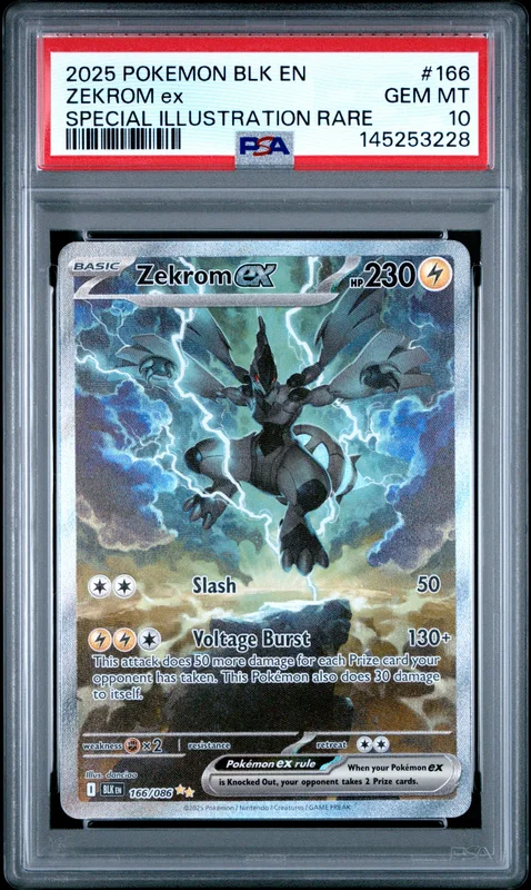cardshq459191