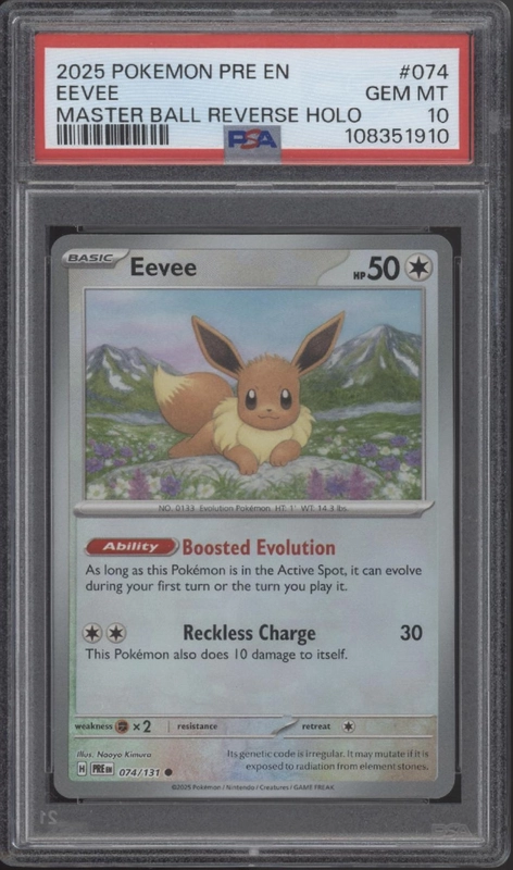collectorstore144023