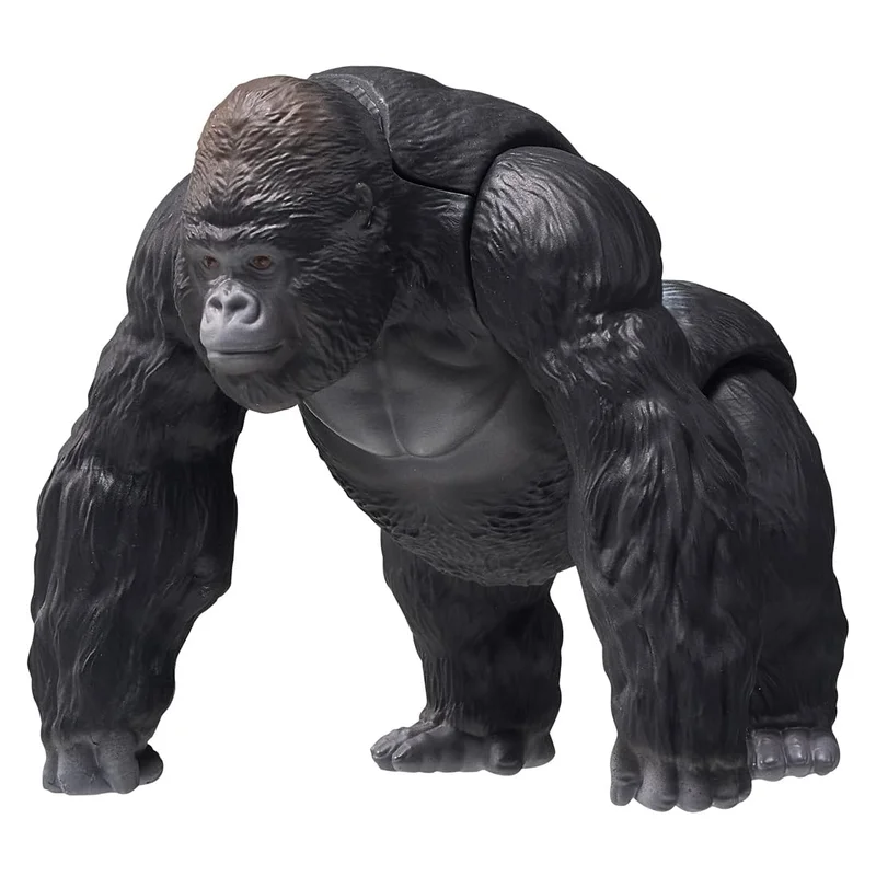 japan-figure314438